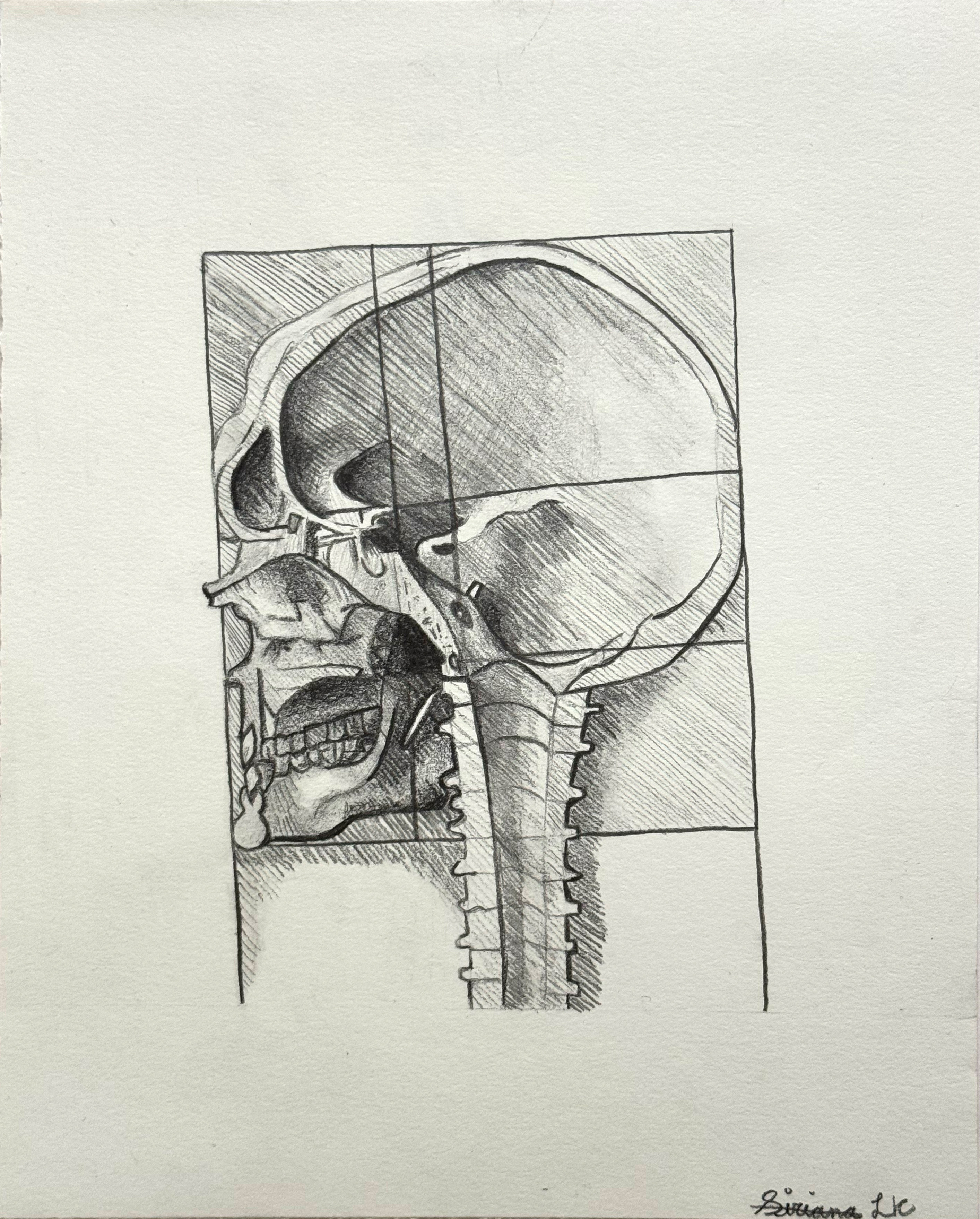 Skull #2